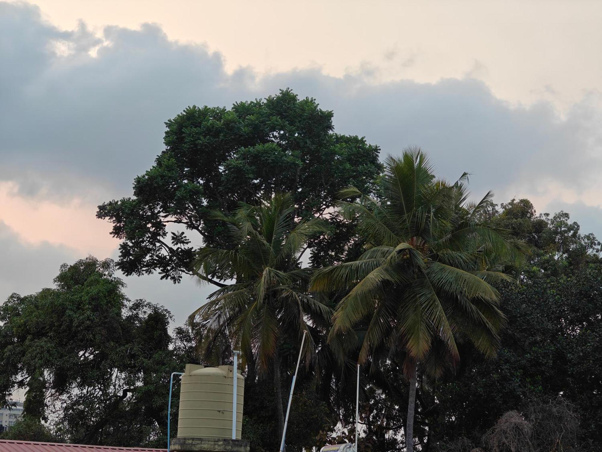 Sri Vidya Palace *